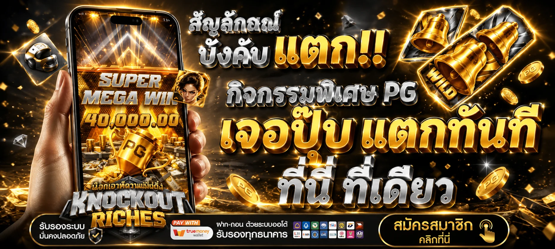 หน้าเข้าสู่ระบบ tigervip98.asia กรอกเบอร์และรหัสผ่าน